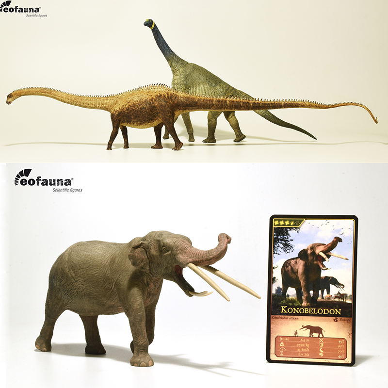Eofauna Konobelodon Diplodocus  Ⱓ   ..